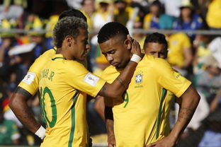 2014巴西vs哥伦比亚友谊赛直播pptv,比赛信息