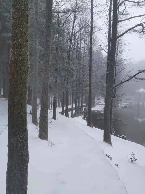 拍个下雪特效怎么弄好看？下雪的时候该如何拍出雪的效果(下雪怎么拍清楚)