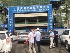 蓝光地产集团领导在北京易德筑集团重庆分公司领导带领下参观易德筑产品及项目 