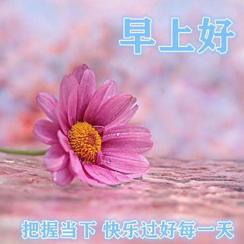 早晨发给朋友的浪漫问候句子 朋友圈早晨最好看的早安图片带祝福语