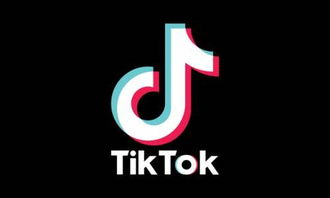 tiktok 海外用户_tiktok怎么推广自己的产品