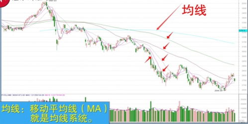 股票、炒股英语怎么说？