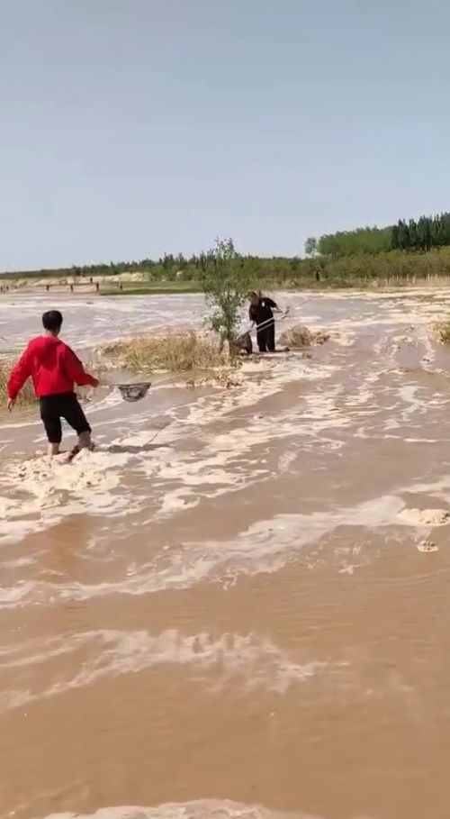 河里边涨水了,快来抓鱼呀 