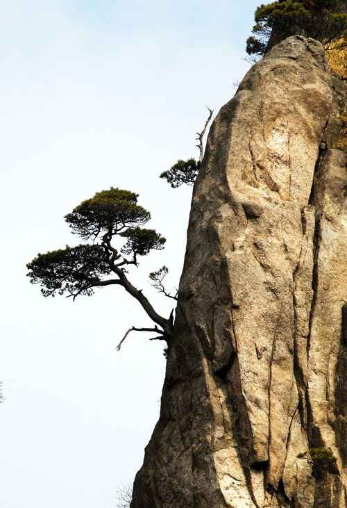 广州附近有什么好玩的地方？我想玩一天，不要爬山。