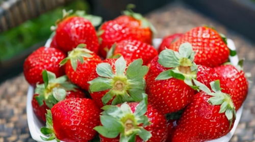 草莓打了催红素是什么样子 如何挑选自然熟透的草莓