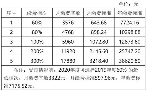 南充灵活就业养老保险退保流程,四川省南充市社保缴费标准