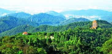 江门圭峰山国家森林公园,介绍江门圭峰山国家森林公园