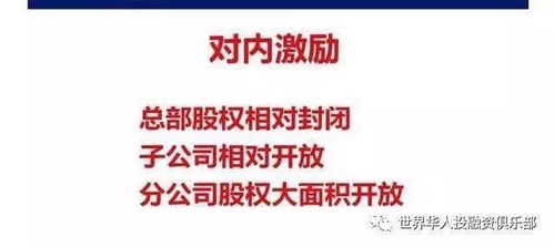 公司无股份分红式激励