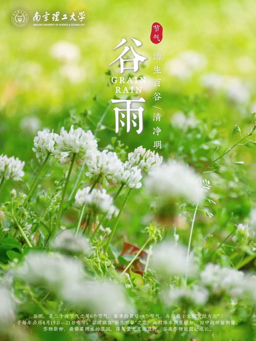 谷雨时节种什么农作物