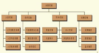 企业内部控制制度？