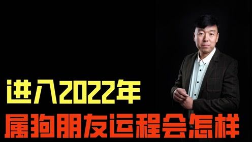 2022年生肖属狗朋友们运势怎么样