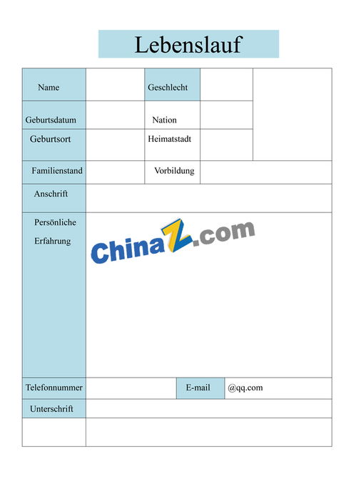 德语表格简历模板 