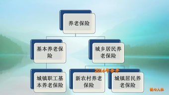 河南省养老保险费征缴,河南农村养老保险缴费档次