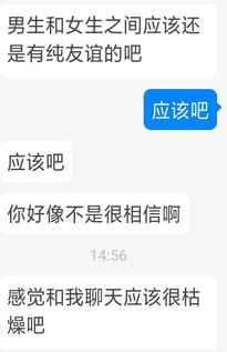 应该怎么回复比较好 