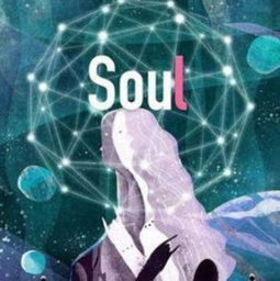 抢票需要十八般武艺,soulmate只要一声铃响