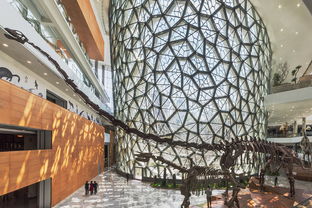 上海自然博物馆新馆,上海自然博物馆新馆: 探索自然奇观的最佳场所