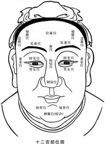 麻衣相法 一个人的 10 大福相,看看你占几样