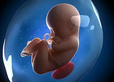 试管婴儿移植后会生化,试管婴儿移植后遭遇生化妊娠：原因与应对策略
