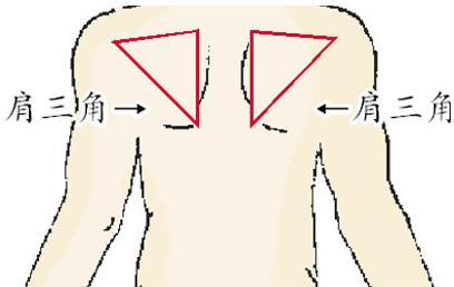 三角区指划 指什么