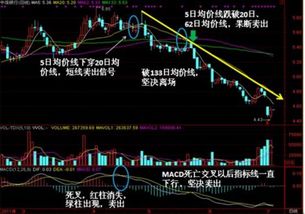 股票中经常有死叉、金叉是指什么?