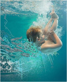 水下摄影怎么拍,水下摄影技巧:如何捕捉到令人惊叹的海洋图像