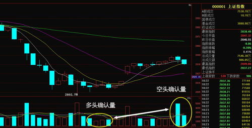 600005可以减仓吗？