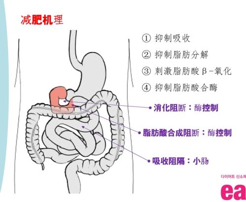 20天瘦10公斤（20天内瘦10斤） 第1张