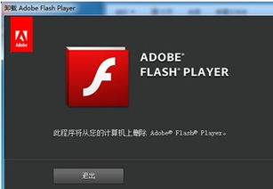 win10控制面板怎么没有flash