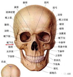 鞠婧祎鼻子返厂了 她怎么不知道自己的问题在于中面部凹陷呢