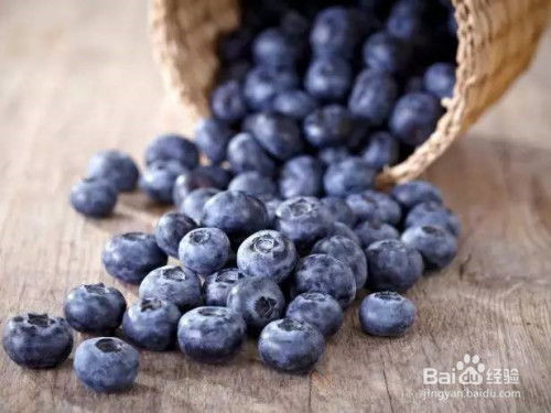 蓝莓怎么保存时间最长