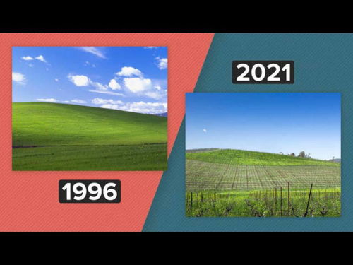 Windows XP 山丘桌布Bliss 取景地今昔对比 25 年后竟变成这样