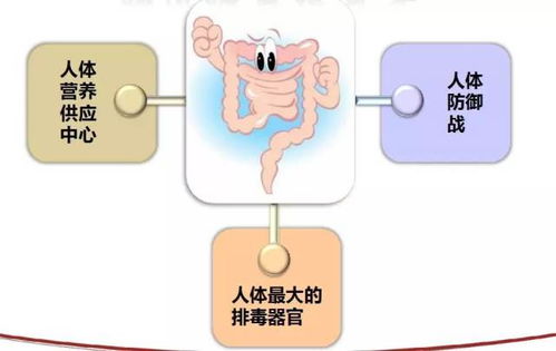 身体出现哪些症状需要提防肠道健康 什么情况下要做肠镜检查