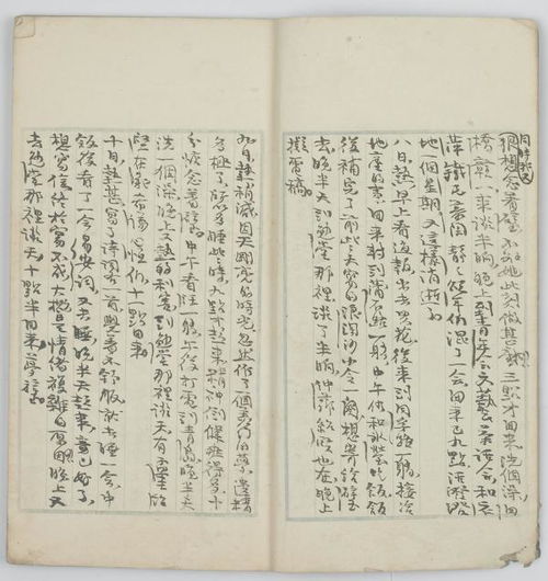 去上海图书馆看一篇写于1308年的日记