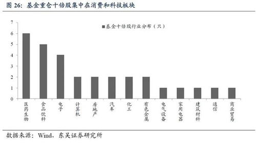 什么是十倍的股票