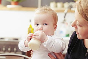 畅诺乳酸菌奶粉怎么给宝宝喝效果才好 