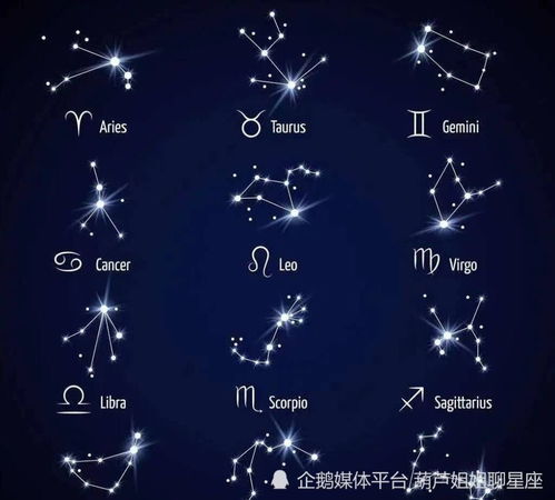 第一星座网星座运势12月,十二星座第一星座每日运程