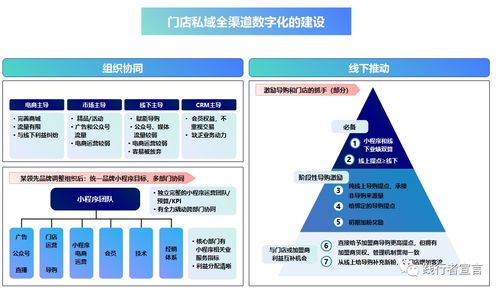 营销模式的营销模式的基本类型-图1