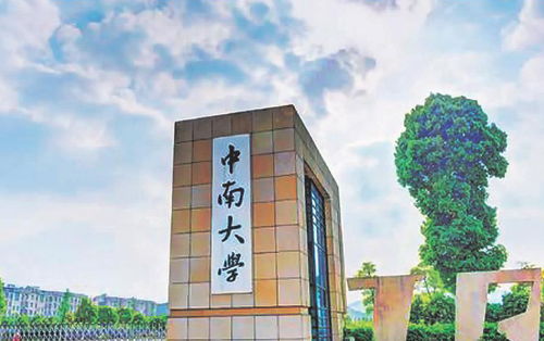 中南大学 可视化平台辅助精准教学 