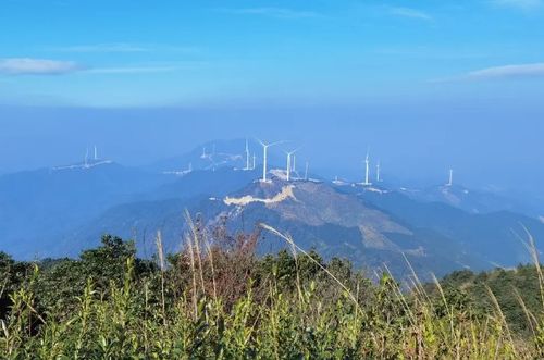 广州露营野炊十大圣地排行榜 广州野外露营的好去处排行榜