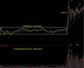 股价横盘这么久 为什么我一抛售就迎来涨停一字板