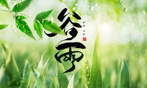 谷雨swot分析案例