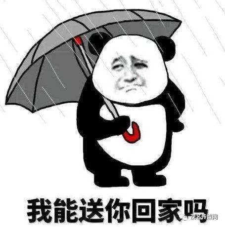 你还怕大雨吗