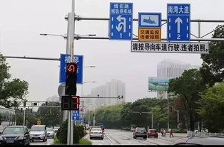 干货 实际道路掉头,学会了一辈子不用为它交罚款