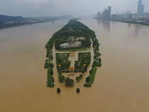 活久见,7月份的阿联酋居然...下雨了 