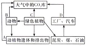 核酸主要存在于细胞核中，细胞质内也有 这句话为什么是错的？