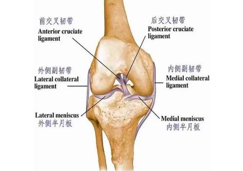 膝关节疼痛做什么检查,物理检查