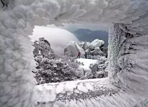 从曝光 场景 对比 光线多角度教你拍出不一样的雪景 