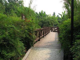 浣花溪公园