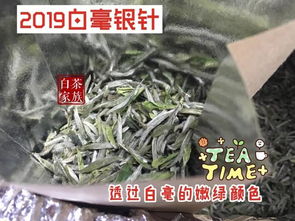 有良心的白茶老板,不会建议新茶客买白毫银针,理由出其不意