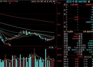 只持有上海股10万能打新吗